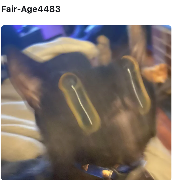 Fair-Age4483