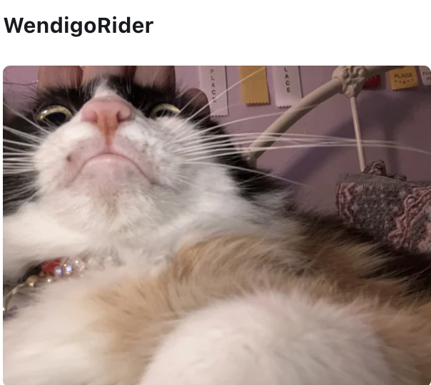 WendigoRider JATE PLACE