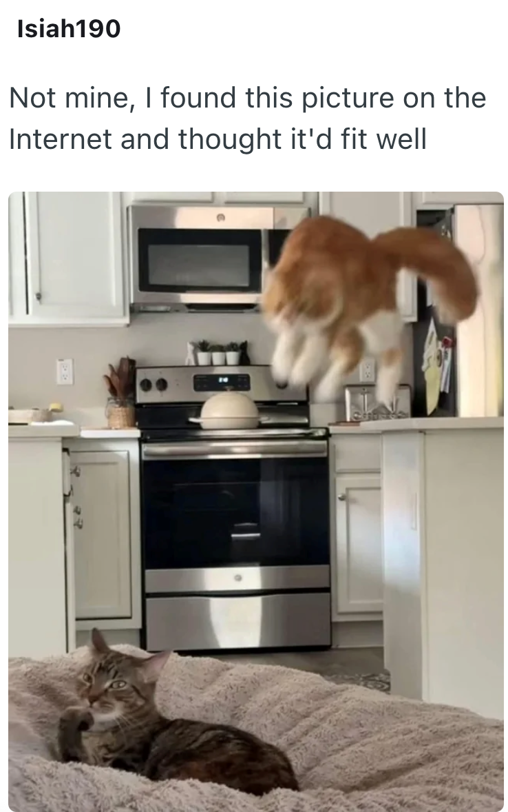 Isiah190 Not mine, I found this picture on the Internet and thought it'd fit well