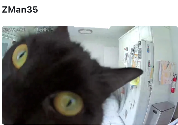 ZMan35 2028/04/29 12:45:04