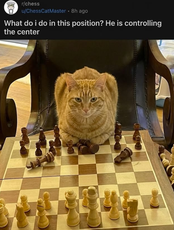 r/chess u/ChessCatMaster • 8h ago What do i do in this position? He is controlling the center 4