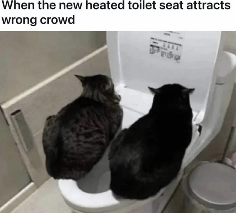 When the new heated toilet seat attracts wrong crowd