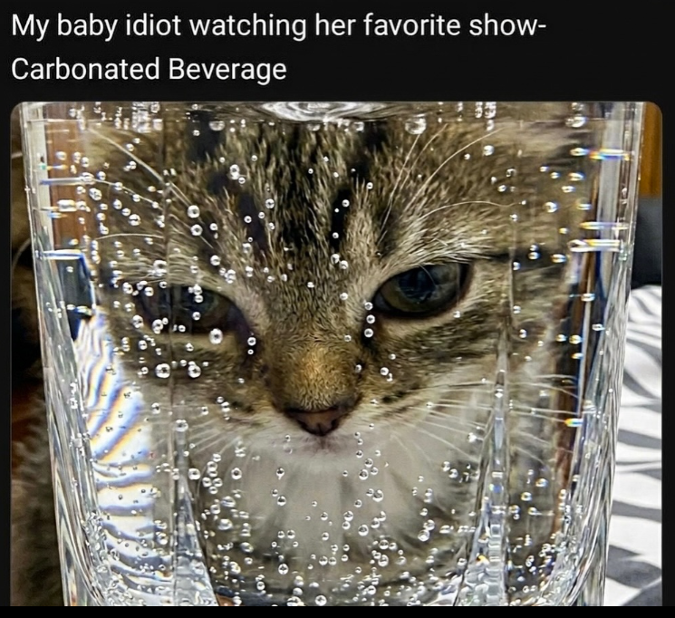 My baby idiot watching her favorite show- Carbonated Beverage 201