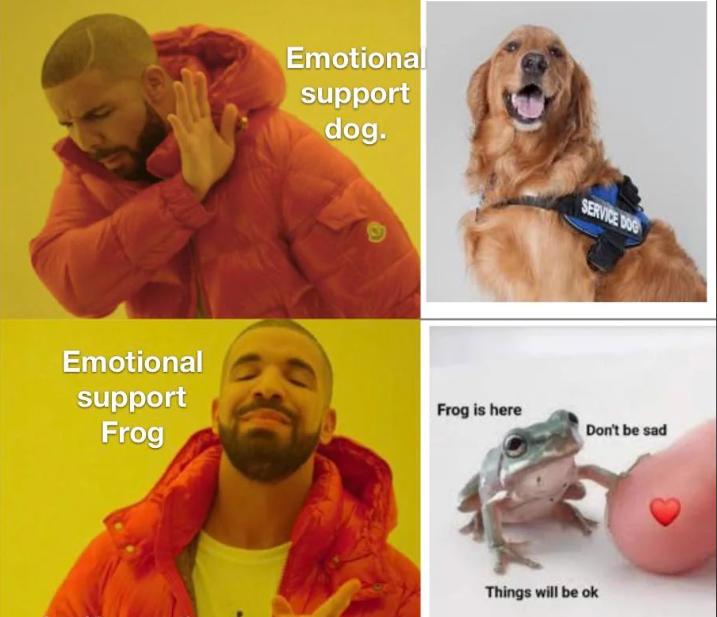 Emotional support dog. SERVICE DOG Emotional support Frog Frog is here Don't be sad Things will be ok