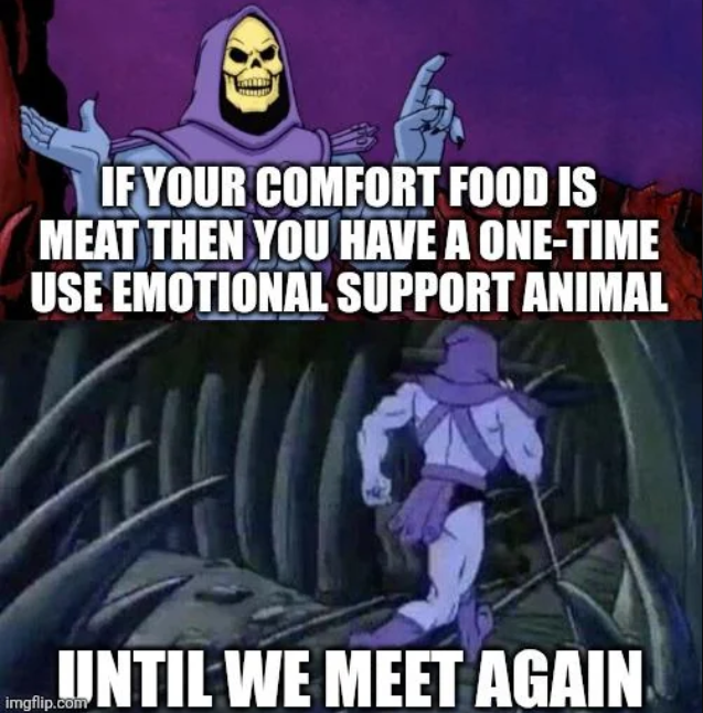 IF YOUR COMFORT FOOD IS MEAT THEN YOU HAVE A ONE-TIME USE EMOTIONAL SUPPORT ANIMAL UNTIL WE MEET AGAIN.