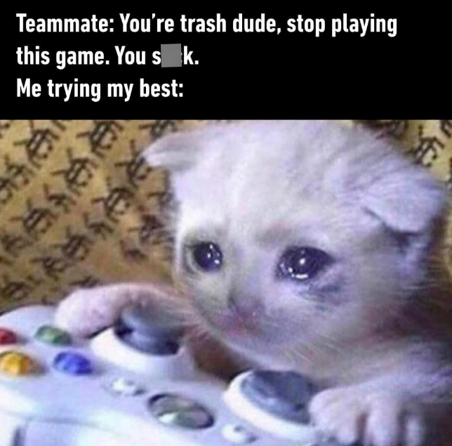 Teammate: You're trash dude, stop playing this game. You s_k. Me trying my best: