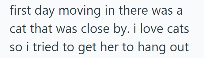 first day moving in there was a cat that was close by. i love cats so i tried to get her to hang out