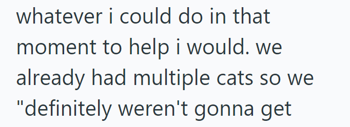 whatever i could do in that moment to help i would. we already had multiple cats so we "definitely weren't gonna get
