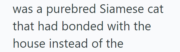was a purebred Siamese cat that had bonded with the house instead of the
