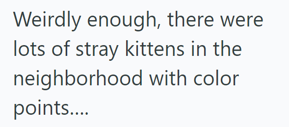Weirdly enough, there were lots of stray kittens in the neighborhood with color points....