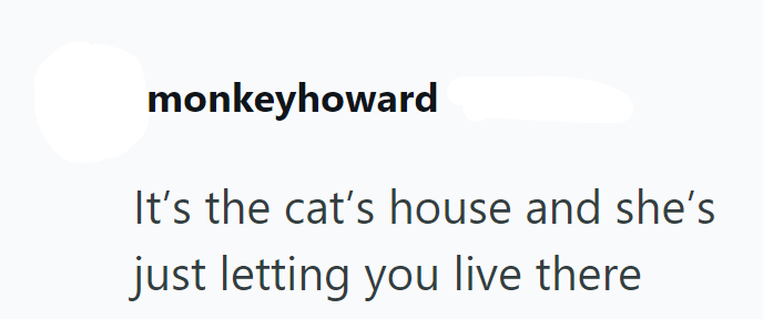 monkeyhoward It's the cat's house and she's just letting you live there