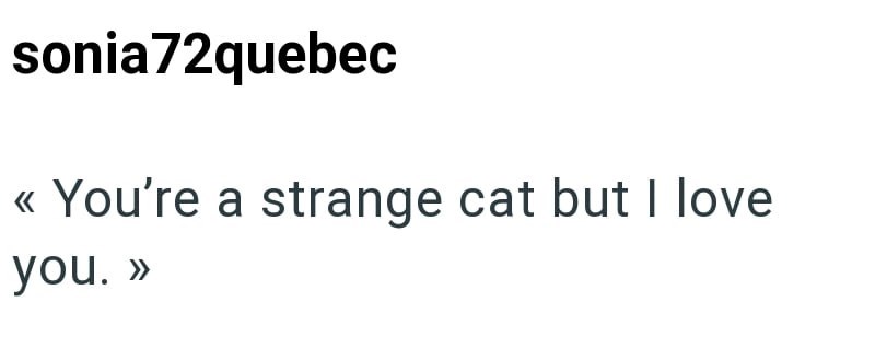 sonia72quebec << You're a strange cat but I love you. >>