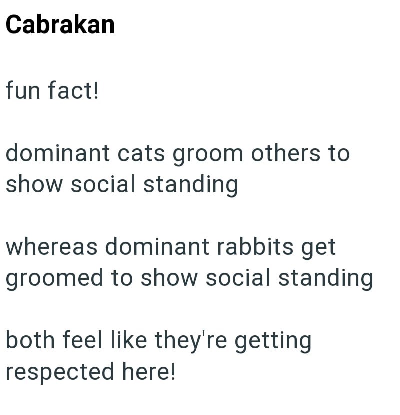 Cabrakan fun fact! dominant cats groom others to show social standing whereas dominant rabbits get groomed to show social standing both feel like they're getting respected here!