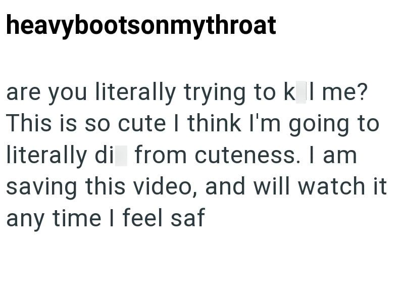 heavybootsonmythroat are you literally trying to k I me? This is so cute I think I'm going to literally di from cuteness. I am saving this video, and will watch it any time I feel saf