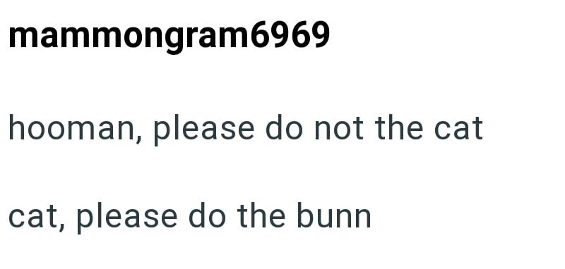 mammongram6969 hooman, please do not the cat cat, please do the bunn