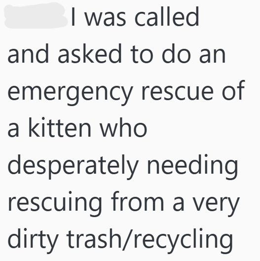 I was called and asked to do an emergency rescue of a kitten who desperately needing rescuing from a very dirty trash/recycling
