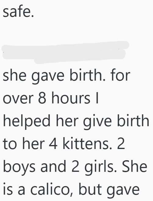 safe. she gave birth. for over 8 hours I helped her give birth to her 4 kittens. 2 boys and 2 girls. She is a calico, but gave
