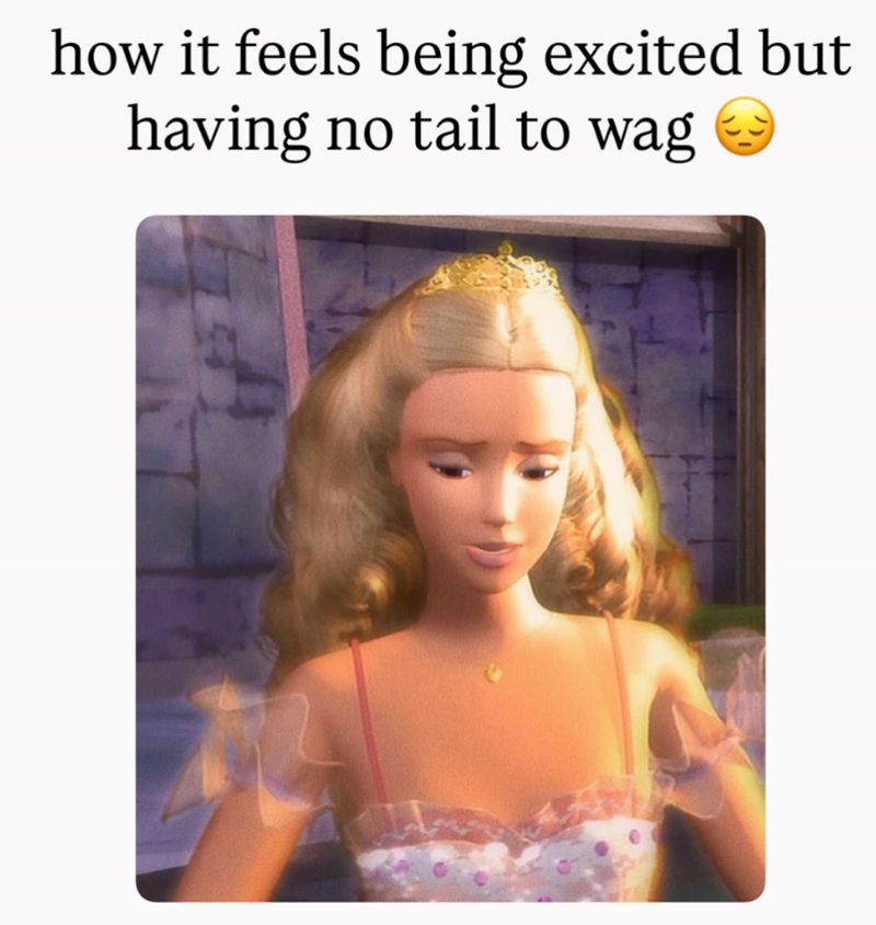 how it feels being excited but having no tail to wag