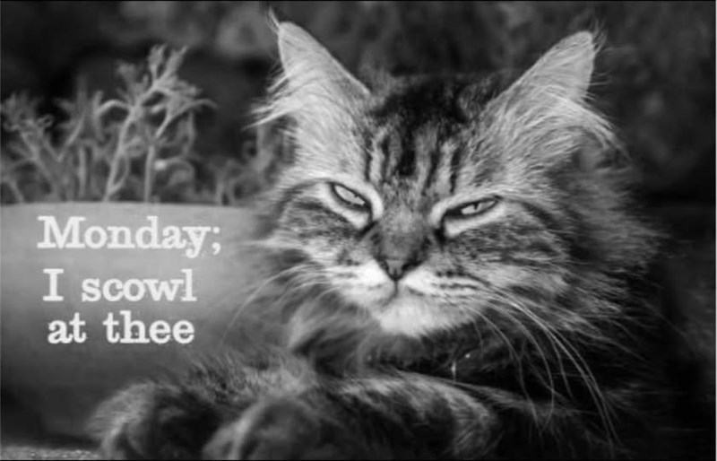 Monday; I scowl at thee