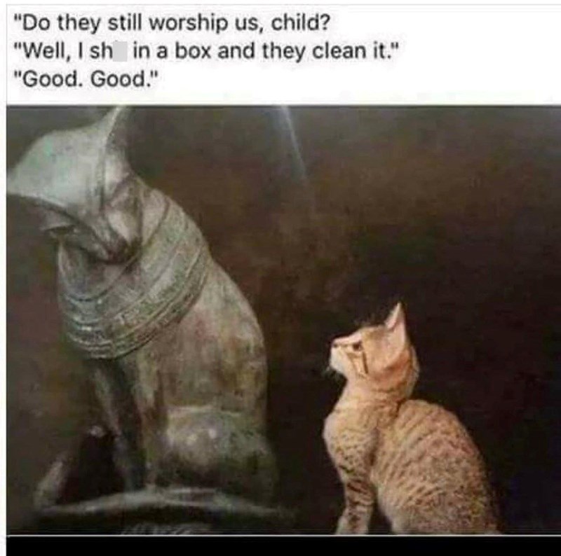 "Do they still worship us, child? "Well, I sh in a box and they clean it." "Good. Good."