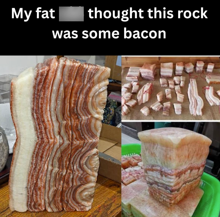 My fat thought this rock was some bacon ENCENSE