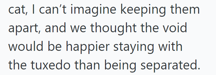 cat, I can't imagine keeping them apart, and we thought the void would be happier staying with the tuxedo than being separated.