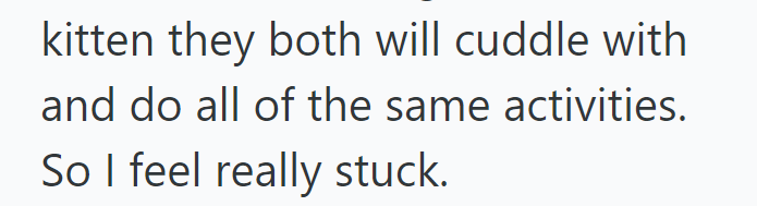 kitten they both will cuddle with and do all of the same activities. So I feel really stuck.