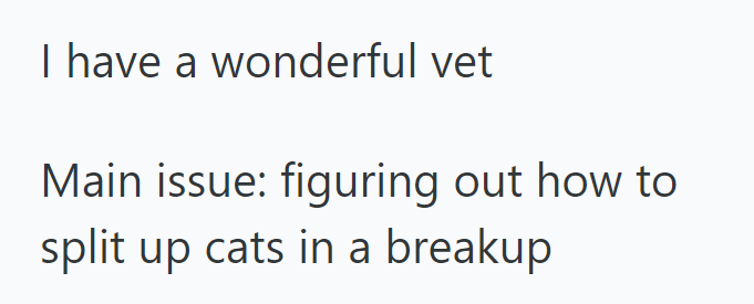 I have a wonderful vet Main issue: figuring out how to split up cats in a breakup