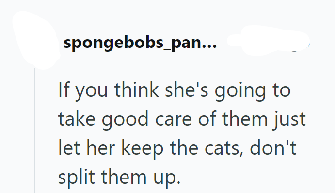 spongebobs_pan... If you think she's going to take good care of them just let her keep the cats, don't split them up.
