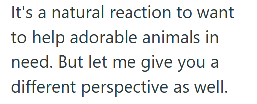 It's a natural reaction to want to help adorable animals in need. But let me give you a different perspective as well.