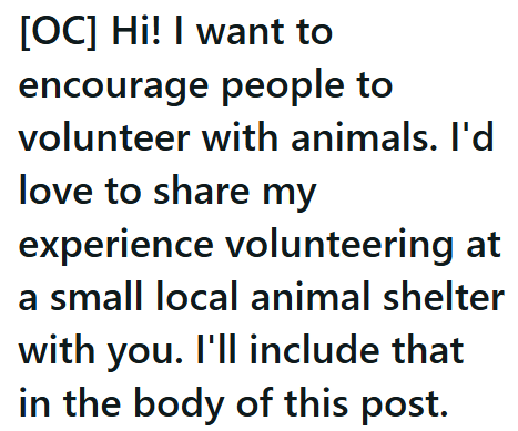 [OC] Hi! I want to encourage people to volunteer with animals. I'd love to share my experience volunteering at a small local animal shelter with you. I'll include that in the body of this post.