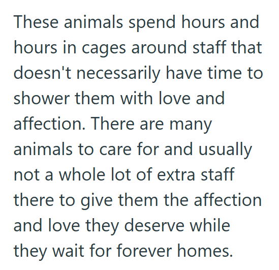 These animals spend hours and hours in cages around staff that doesn't necessarily have time to shower them with love and affection. There are many animals to care for and usually not a whole lot of extra staff there to give them the affection and love they deserve while they wait for forever homes.