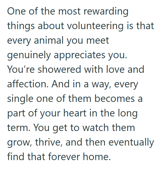 One of the most rewarding things about volunteering is that every animal you meet genuinely appreciates you. You're showered with love and affection. And in a way, every single one of them becomes a part of your heart in the long term. You get to watch them grow, thrive, and then eventually find that forever home.