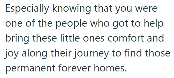 Especially knowing that you were one of the people who got to help bring these little ones comfort and joy along their journey to find those permanent forever homes.