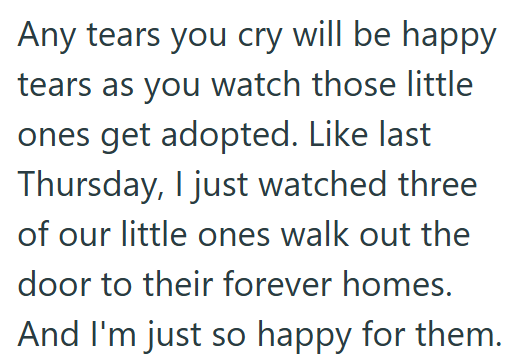 Any tears you cry will be happy tears as you watch those little ones get adopted. Like last Thursday, I just watched three of our little ones walk out the door to their forever homes. And I'm just so happy for them.