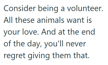 Consider being a volunteer. All these animals want is your love. And at the end of the day, you'll never regret giving them that.