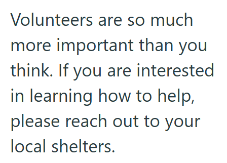 Volunteers are so much more important than you think. If you are interested in learning how to help, please reach out to your local shelters.