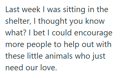Last week I was sitting in the shelter, I thought you know what? I bet I could encourage more people to help out with these little animals who just need our love.