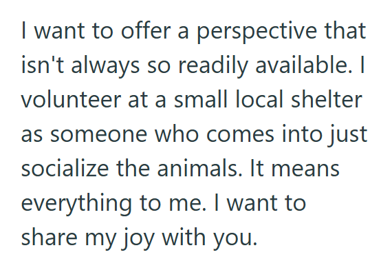 I want to offer a perspective that isn't always so readily available. I volunteer at a small local shelter as someone who comes into just socialize the animals. It means everything to me. I want to share my joy with you.