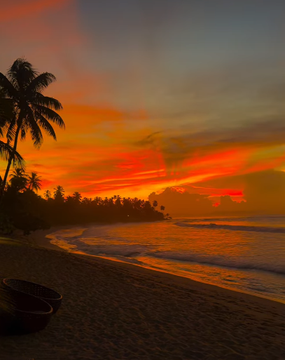 Cheezburger Image 10618483968