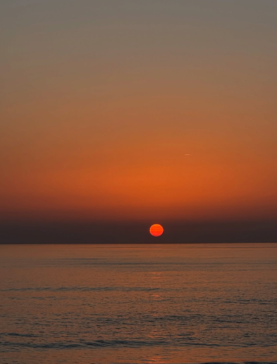 Cheezburger Image 10618484992