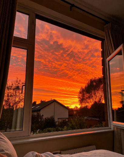 Cheezburger Image 10618485504