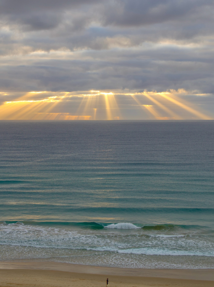 Cheezburger Image 10618486016