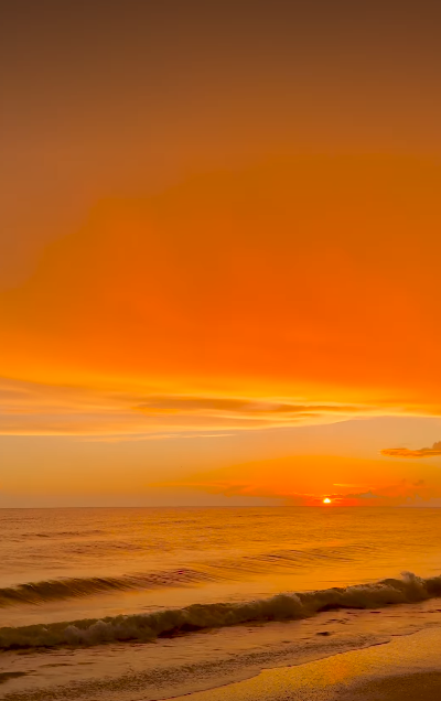 Cheezburger Image 10618487296