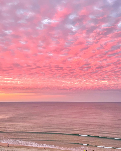 Cheezburger Image 10618487552