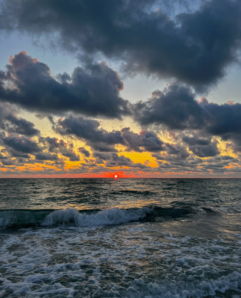 Cheezburger Image 10618487808