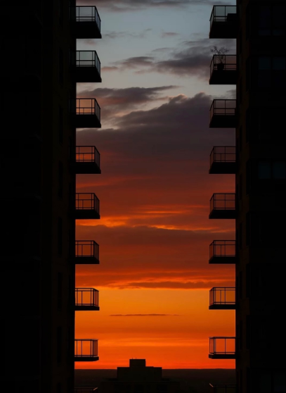 Cheezburger Image 10618488064