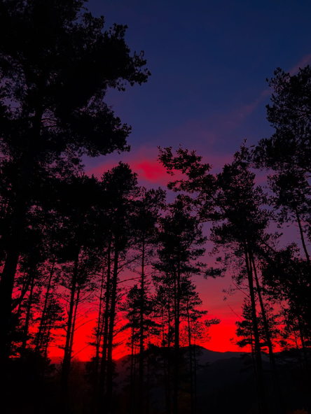 Cheezburger Image 10618488320