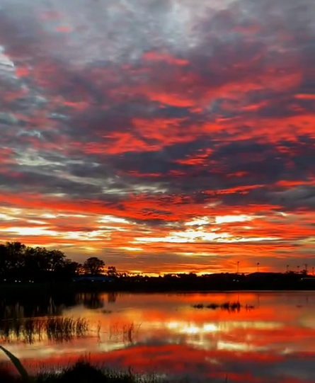 Cheezburger Image 10618488576