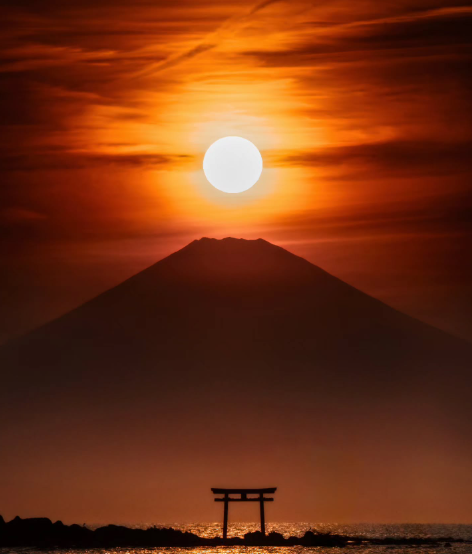 Cheezburger Image 10618488832